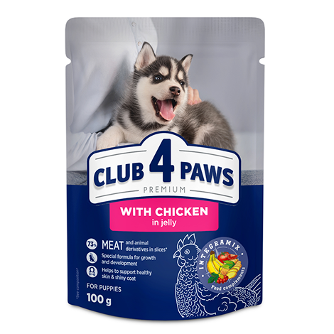 CLUB 4 PAWS PREMIUM DLA SZCZENIĄT "Z KURCZAKIEM W GALARETCE". PEŁNOPORCJOWA KARMA W SASZETKACH