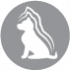 CLUB 4 PAWS PREMIUM DLA SZCZENIĄT WSZYSTKICH RAS "O WYSOKIEJ ZAWARTOŚCI KURCZAKA". PEŁNOPORCJOWA SUCHA KARMA