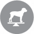 CLUB 4 PAWS PREMIUM LIGHT. PEŁNOPORCJOWA SUCHA KARMA KONTROLA WAGI DLA DOROSŁYCH PSÓW ŚREDNICH I DUŻYCH RAS PODATNYCH NA NADWAGĘ I/LUB STERYLIZOWANYCH – Z WYSOKĄ ZAWARTOŚCIĄ INDYKA
