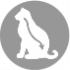 CLUB 4 PAWS PREMIUM "Z EFEKTEM POZBYWANIA SIĘ KŁĘBKÓW SIERŚCI". PEŁNOPORCJOWA KARMA W SASZETKACH DLA DOROSŁYCH KOTÓW